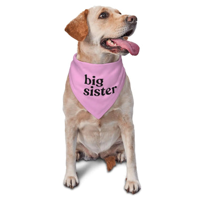 vercosee Big Sister